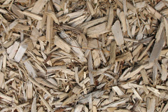 biomass boilers Finmere
